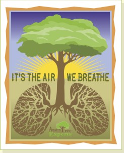 Trees are an important part of our infrastructure.  Do your best to keep your trees healthy.