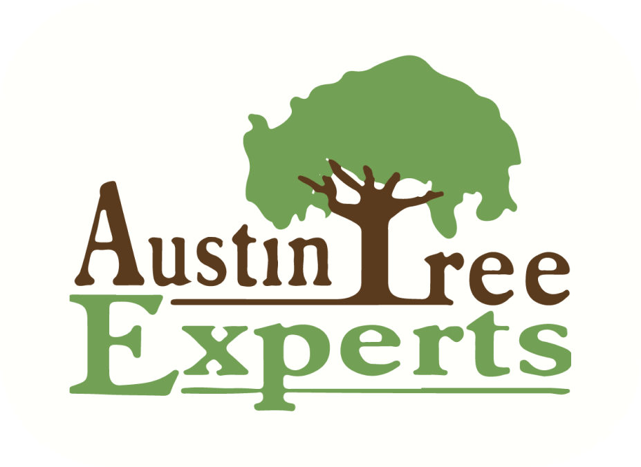 Austin Tree Experts