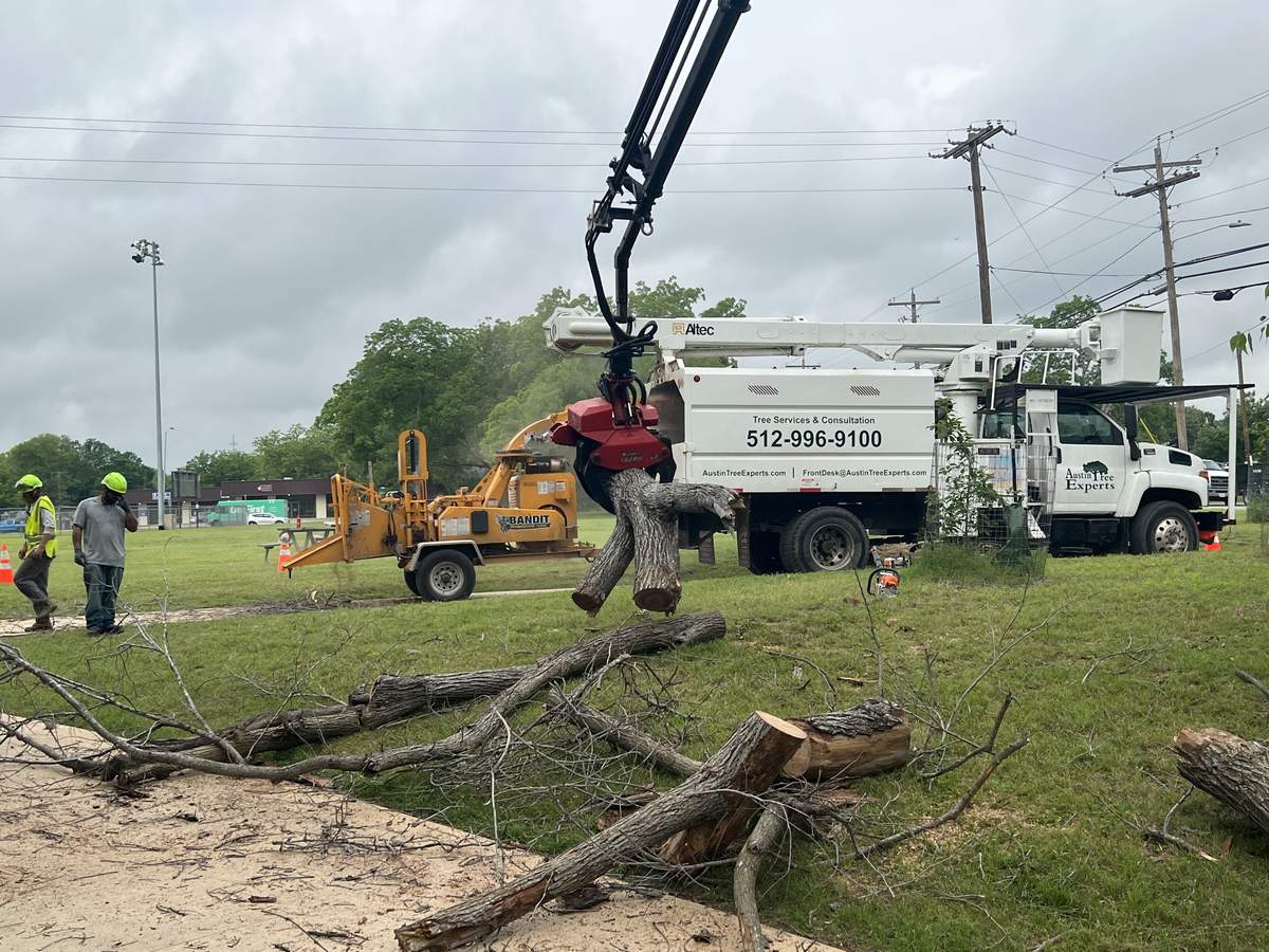 Crane with grapple removing a large tree in an Austin neighborhood