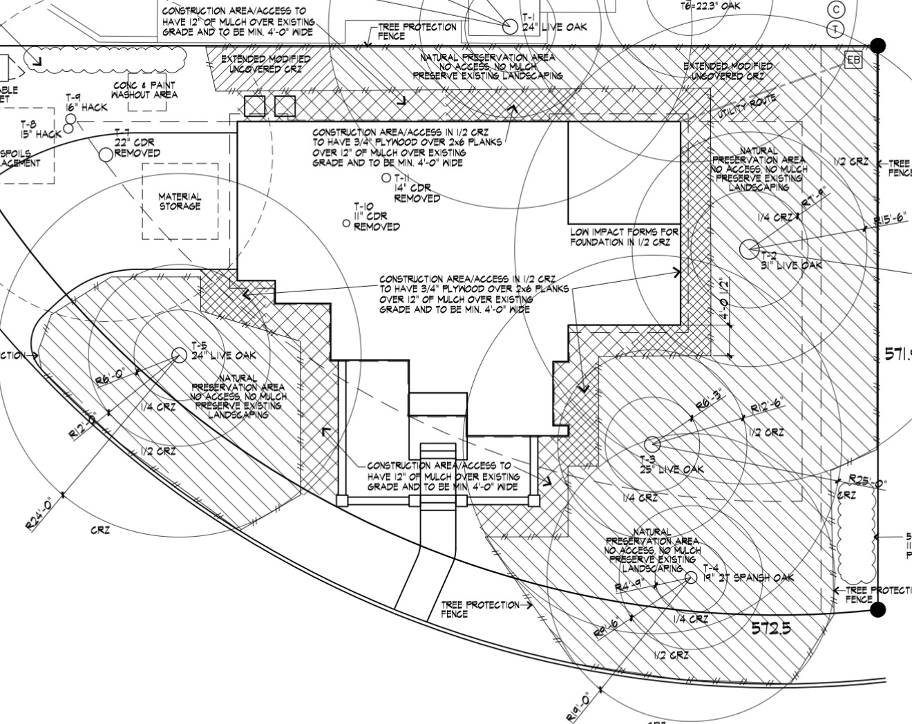 Arborist reviewing a tree protection plan drawing for an Austin construction site