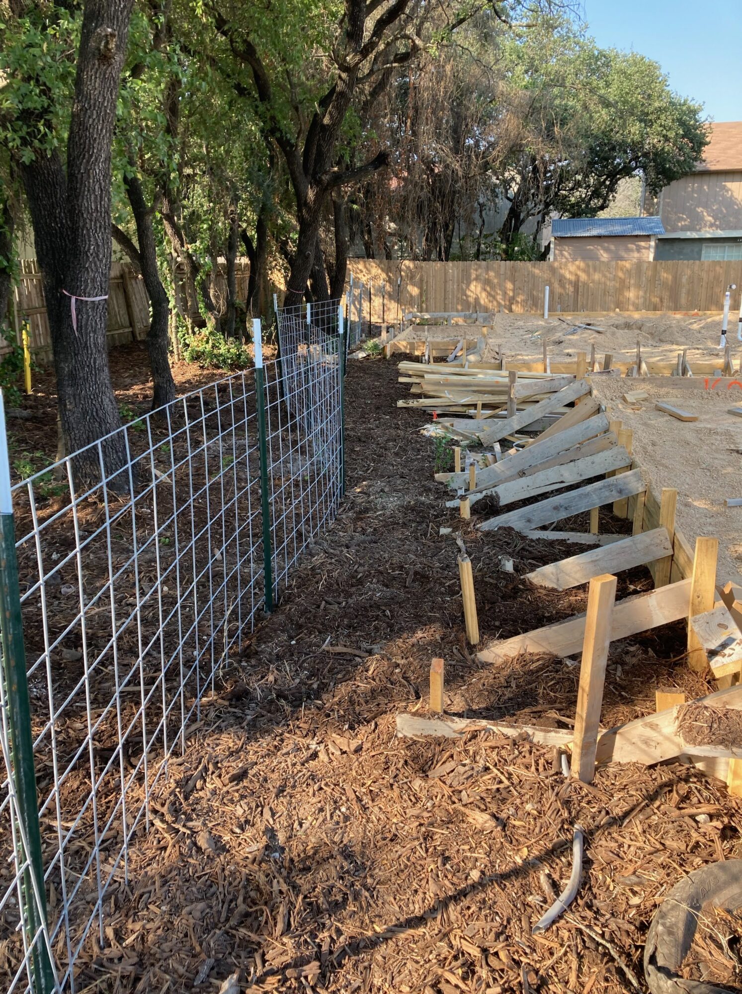 Wire mesh tree protection barrier around critical root zone at construction site