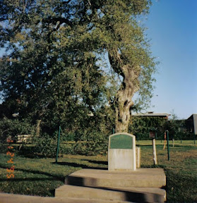 november95.jpg november95.jpg